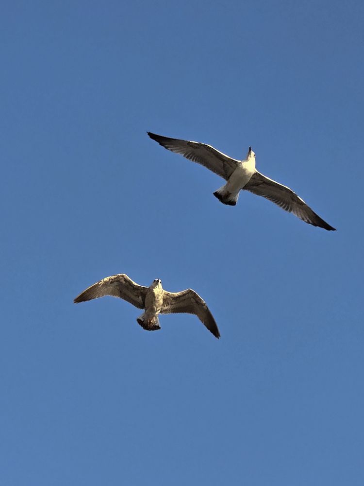 Photograph by Ольга Дёмина