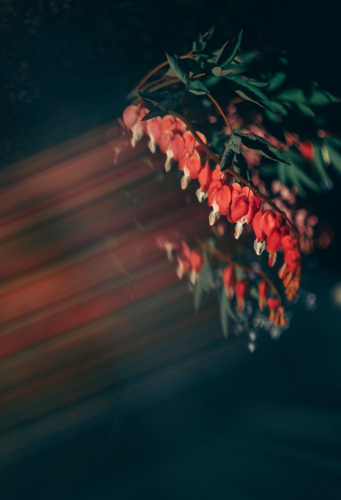 Photograph by Elena Kilina