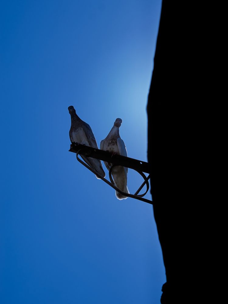 Photograph by NADER AYMAN