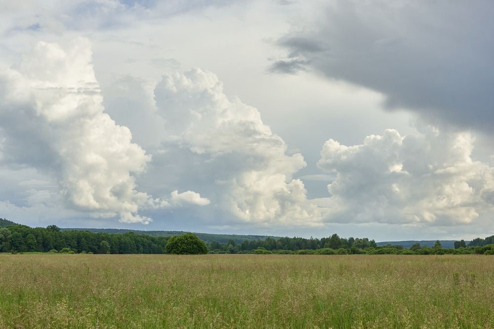 Фотография автора Александр Еремин