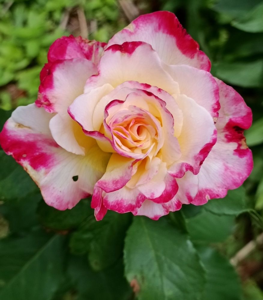 Photograph by Наталья Соколова