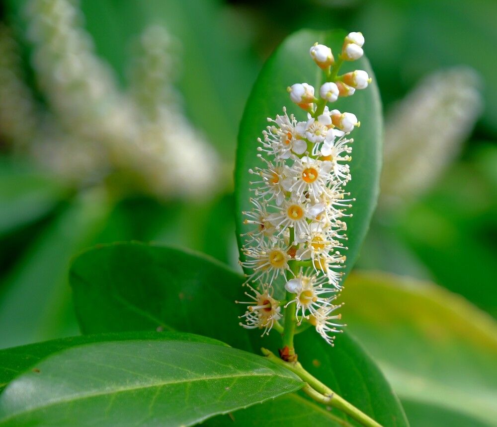 Photograph by Михаил Король