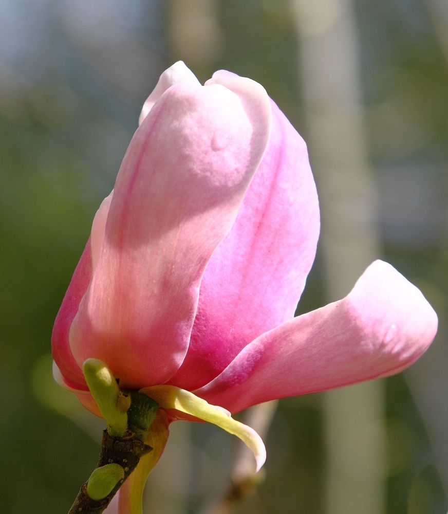 Photograph by Михаил Король