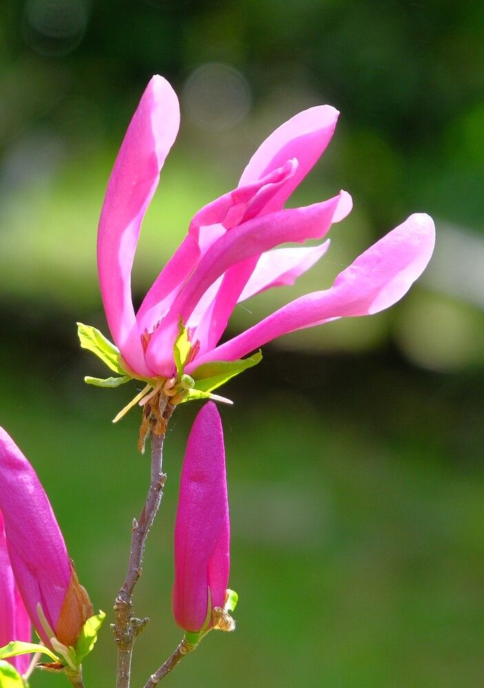 Photograph by Михаил Король