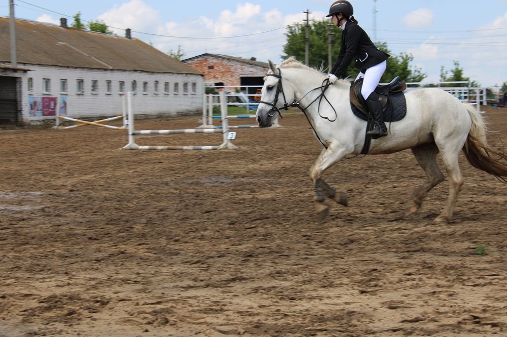 Photograph by Елена Коробченко