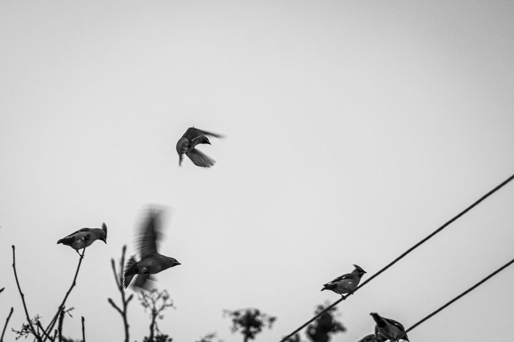 Photograph by ИРЕНА Цурпал