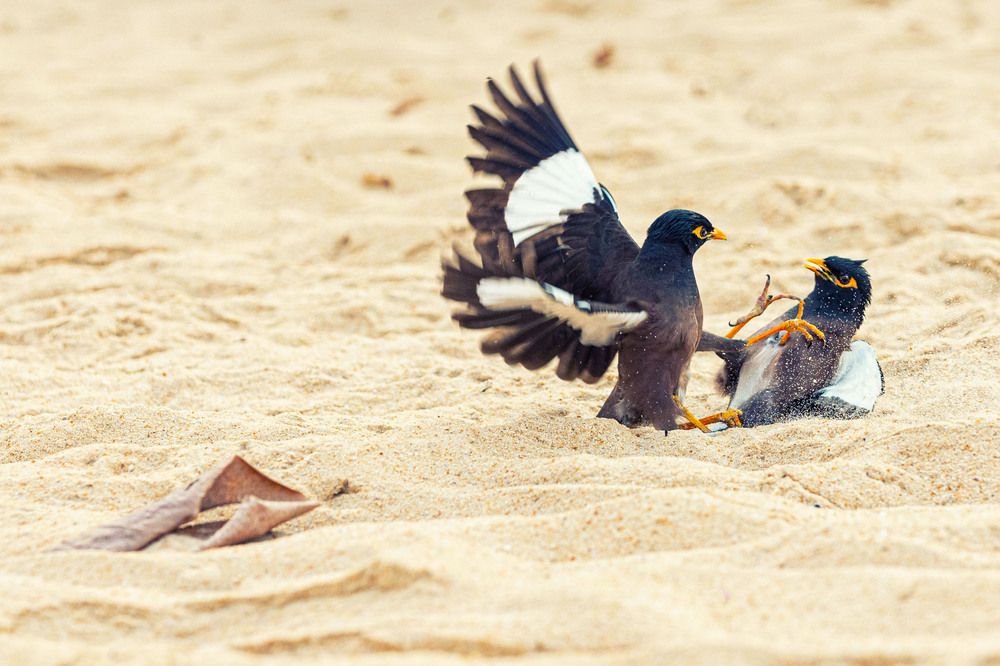 Photograph by ИРЕНА Цурпал