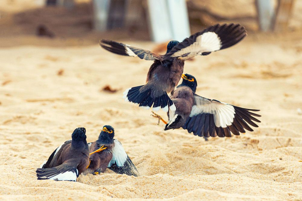 Photograph by ИРЕНА Цурпал