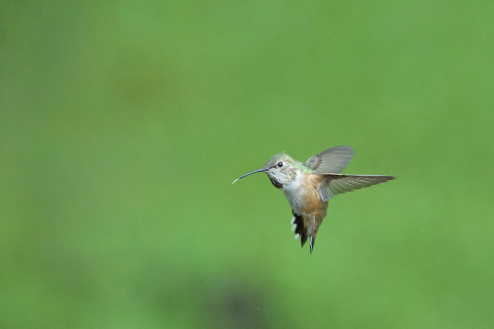 Фотография автора Binh Khiem Nguyen