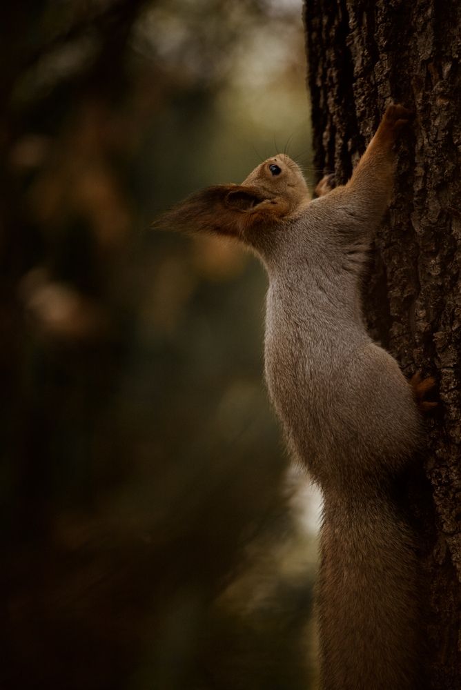 Photograph by Виктория Вагнер