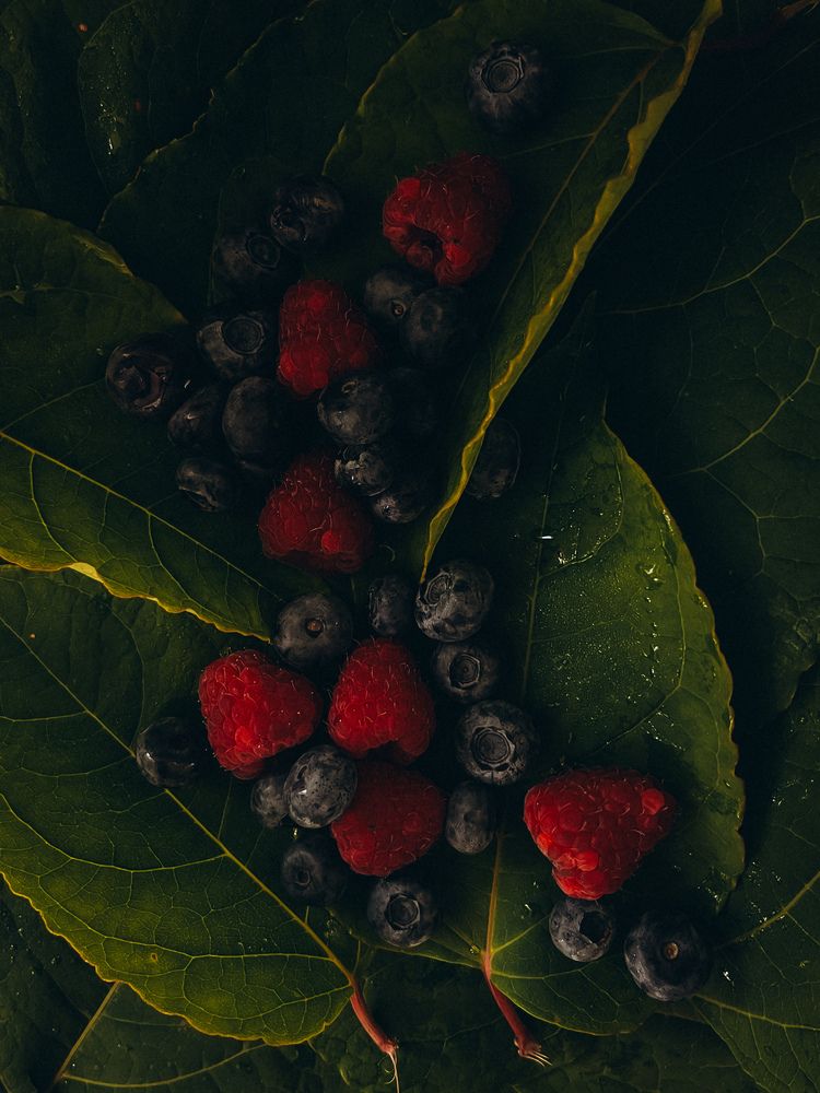 Photograph by Елена Михалева