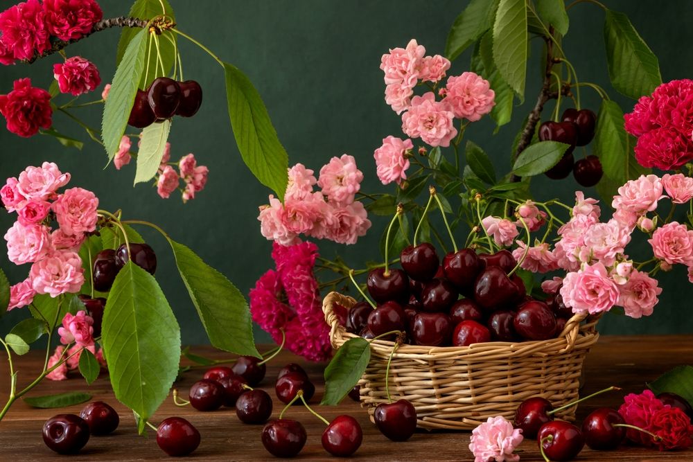 Фотография автора Анна Листишенко