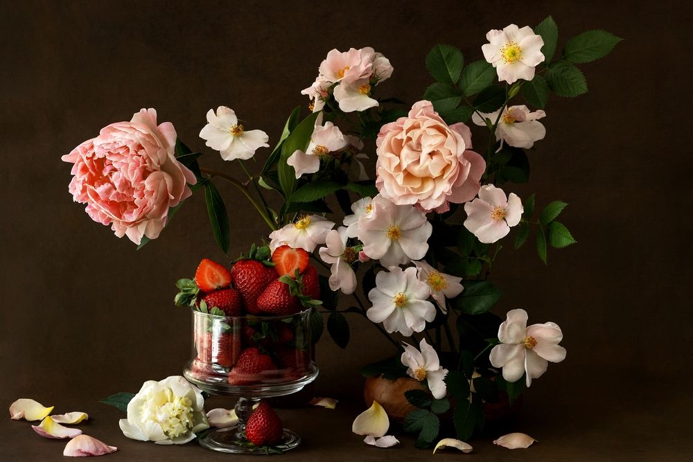 Фотография автора Анна Листишенко