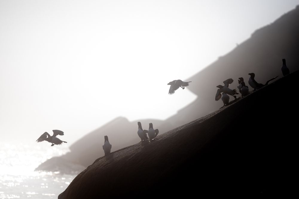 Photograph by Марлен Маан