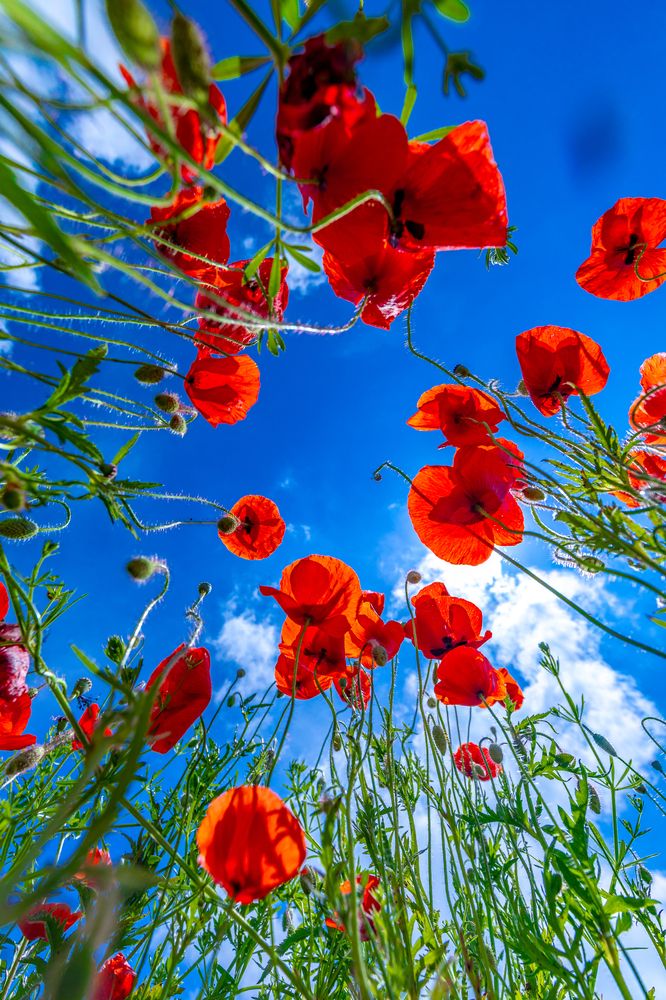 Photograph by Дмитрий Казачек