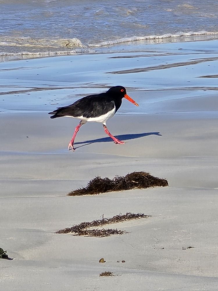 Photograph by Светлана