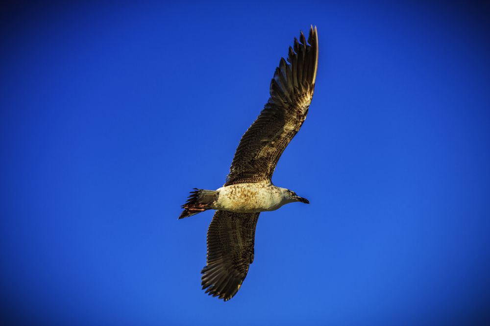 Фотография автора Михаил Лупина