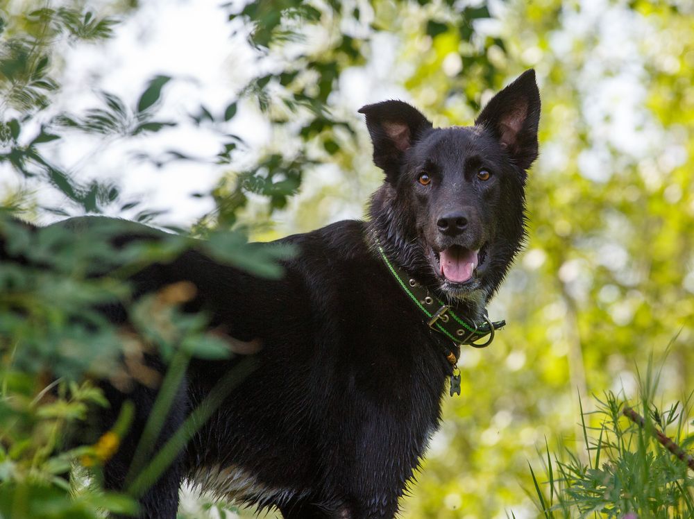 Фотография автора Червяков Григорий