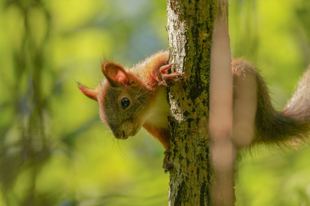 Photograph by Natalya