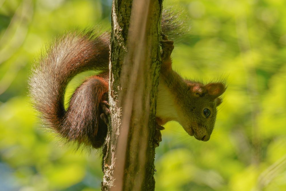 Photograph by Natalya