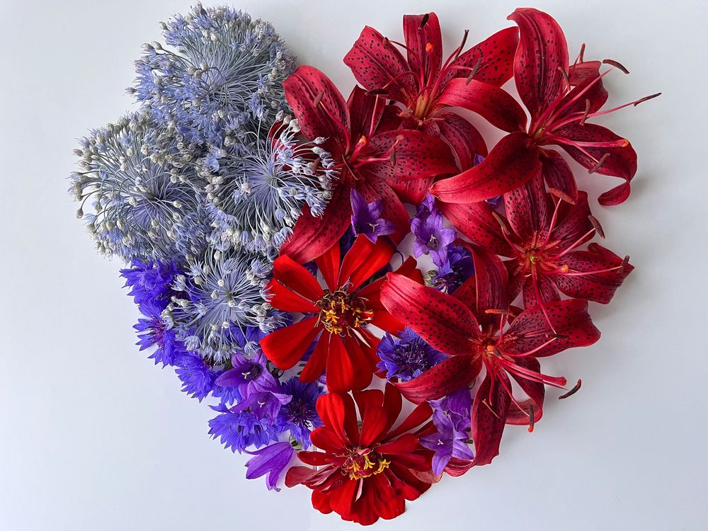 Photograph by OLGA LIZ