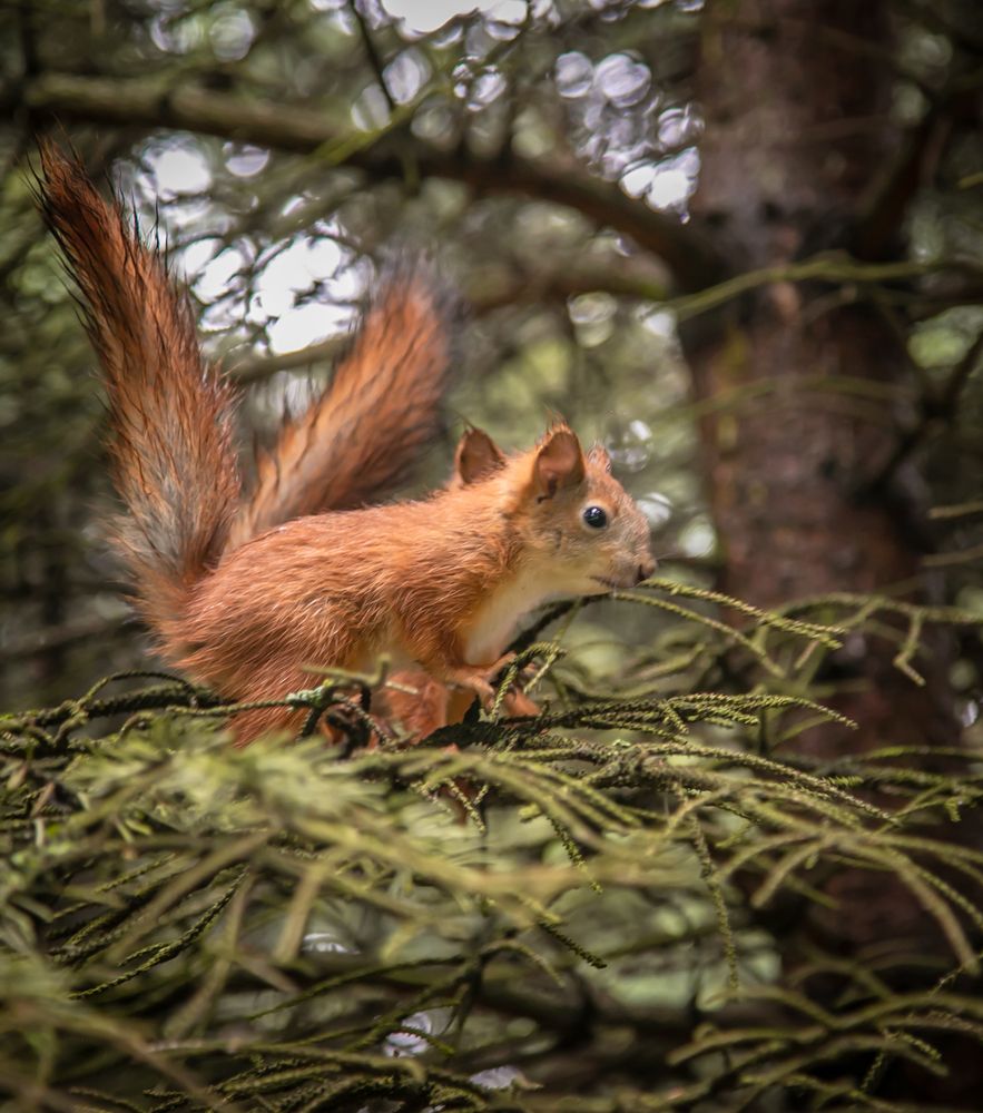 Photograph by Ольга Сафронова