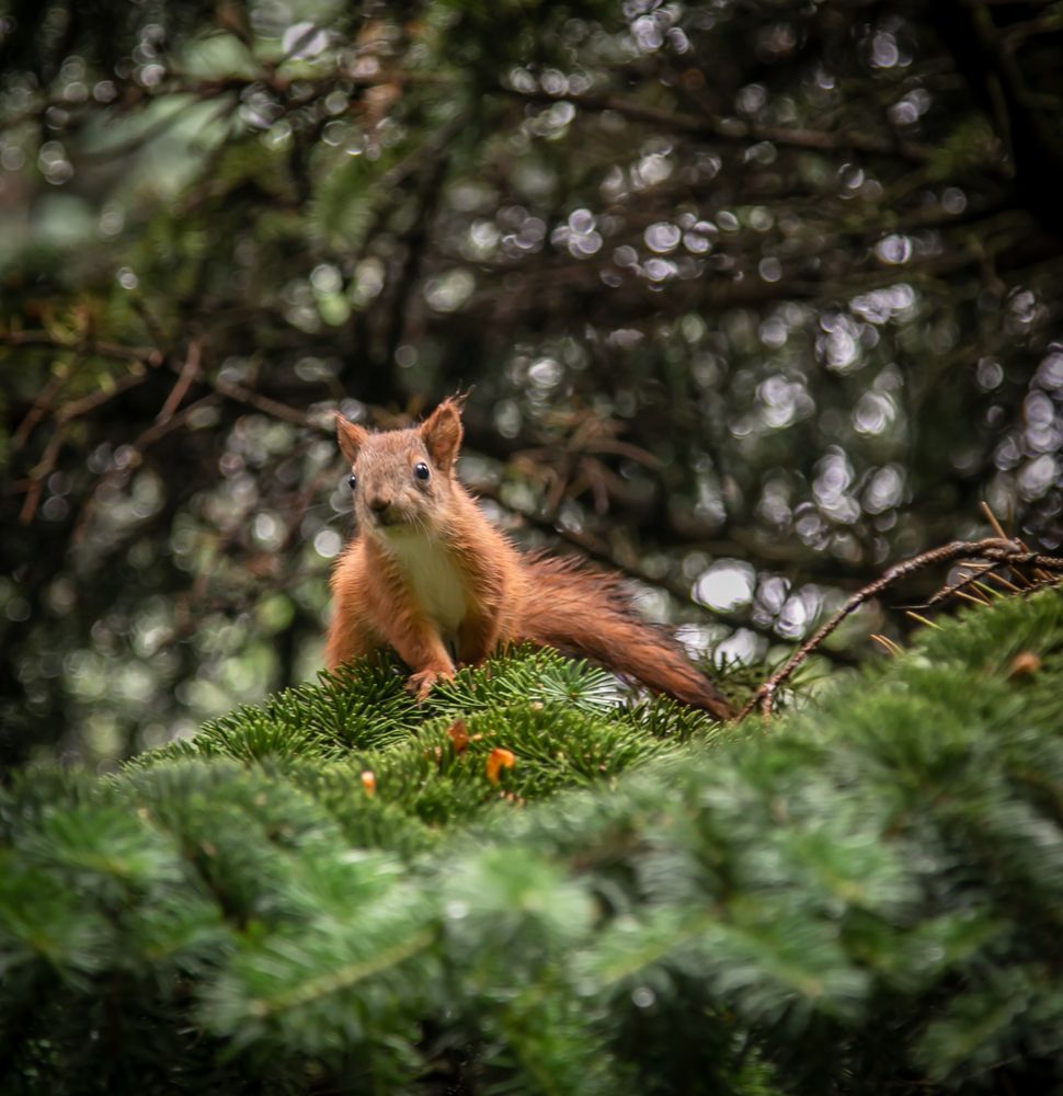 Photograph by Ольга Сафронова