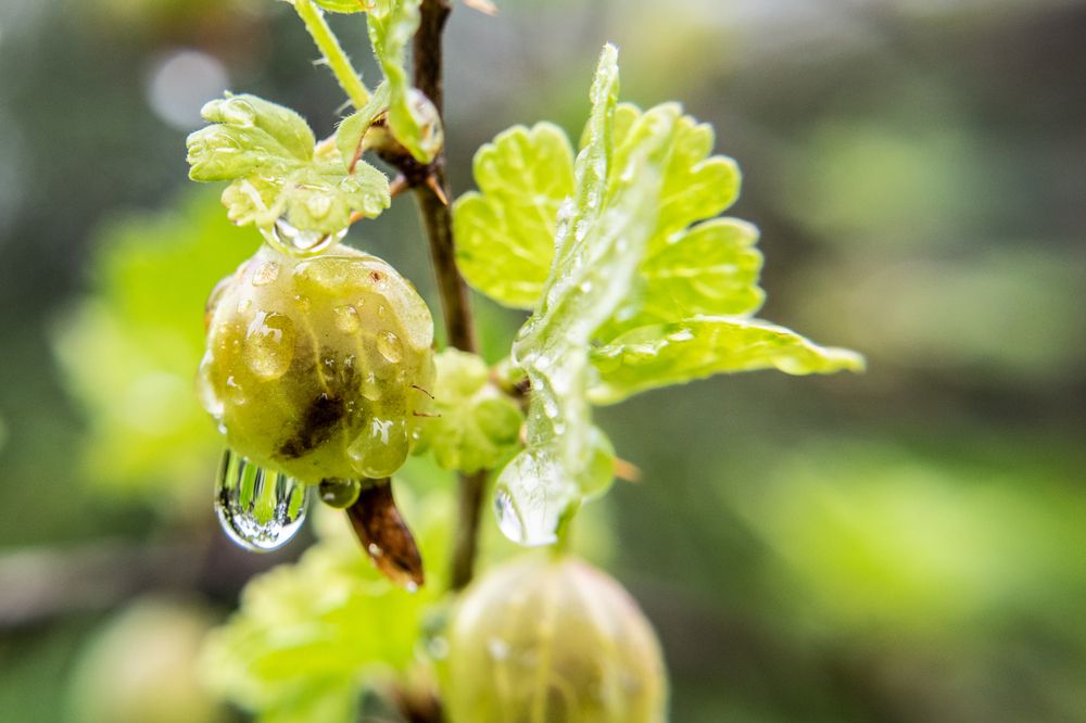 Photograph by Дмитрий Анисимов