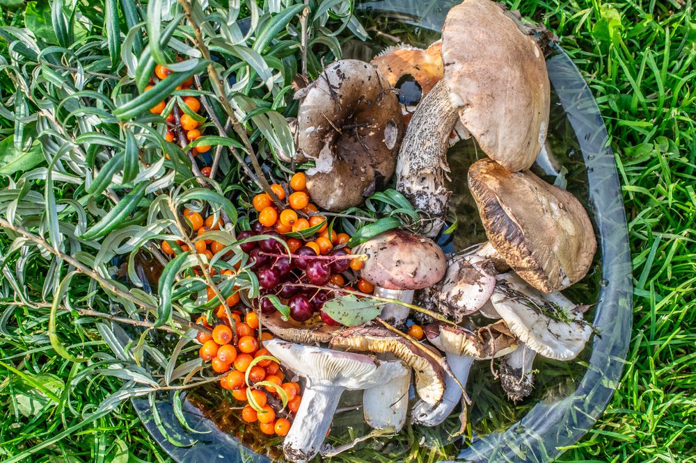 Photograph by Дмитрий Анисимов