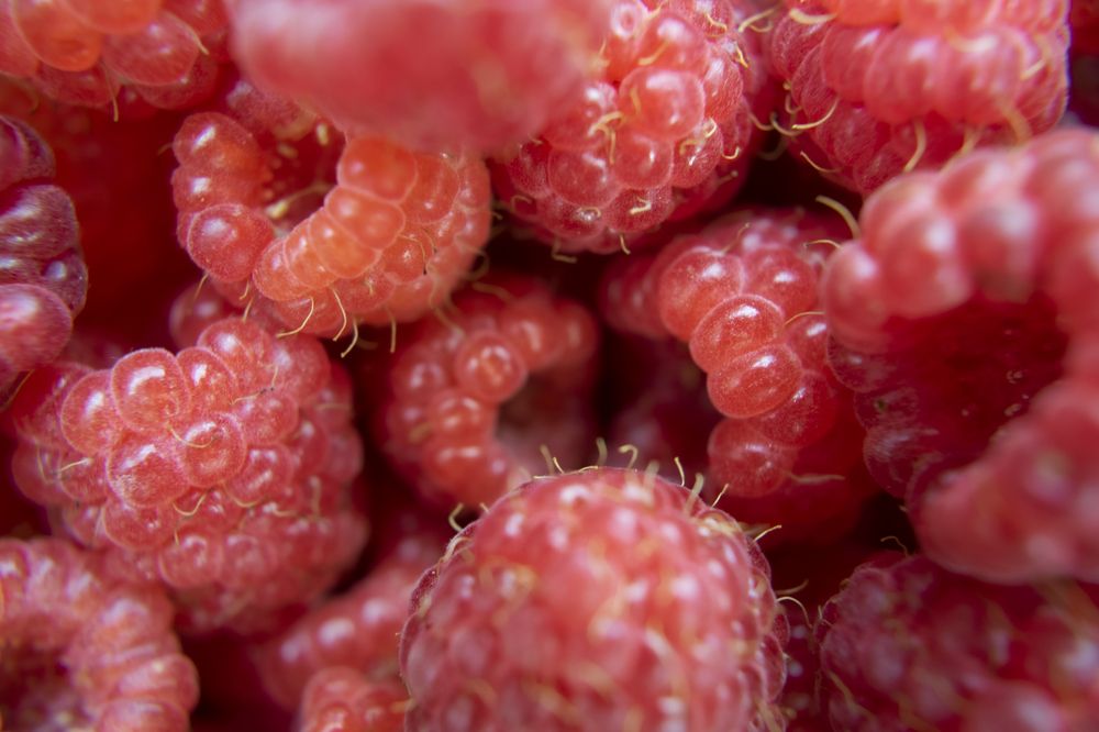 Photograph by Дмитрий Анисимов