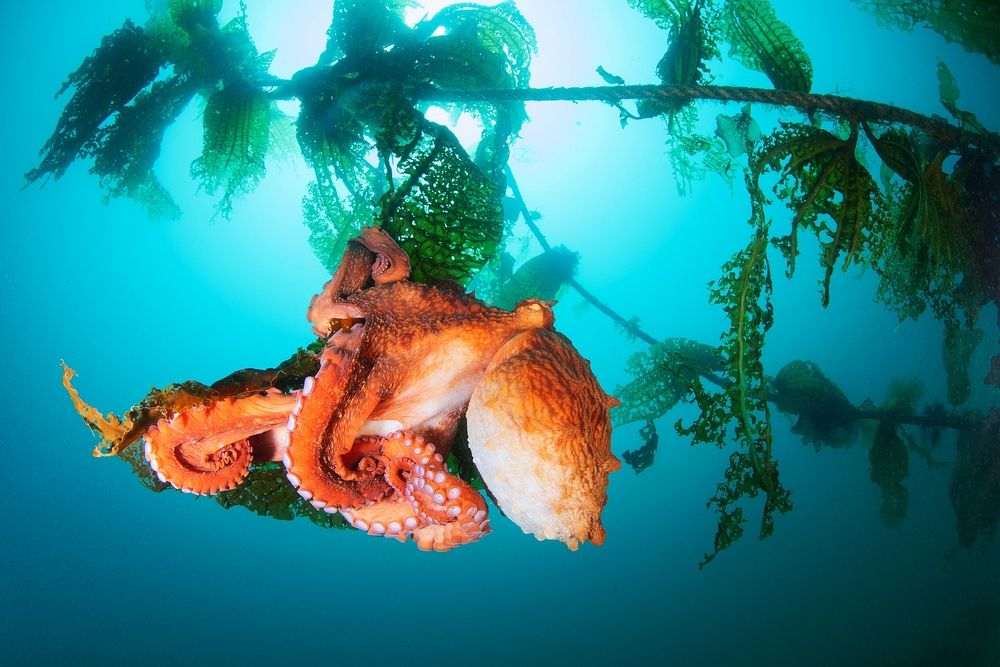 Photograph by Андрей Нарчук