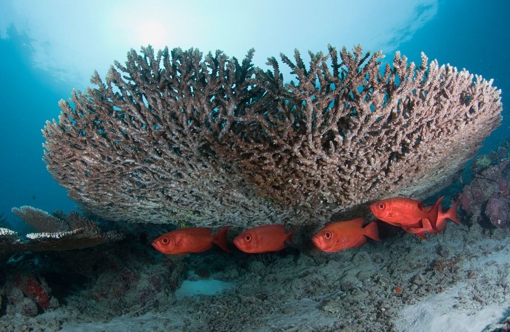 Photograph by Андрей Нарчук