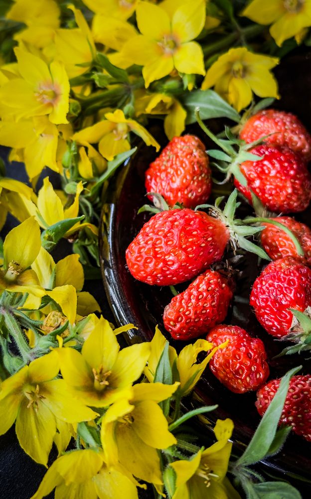 Photograph by Ekaterina Slepneva