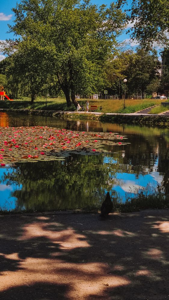 Photograph by Глушакова Татьяна Николаевна