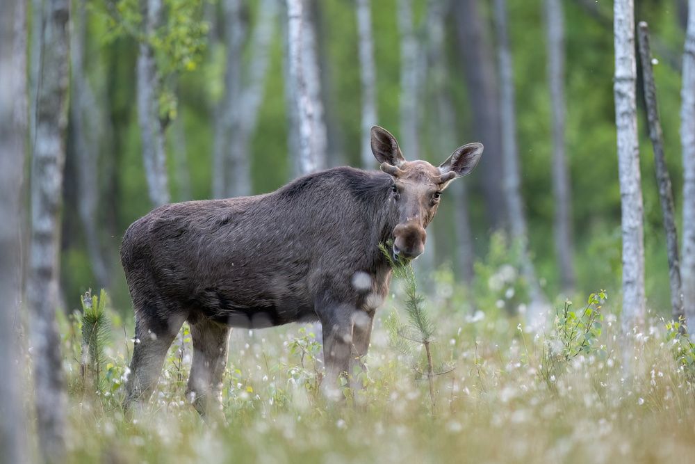 Photograph by Hubert Mielnik
