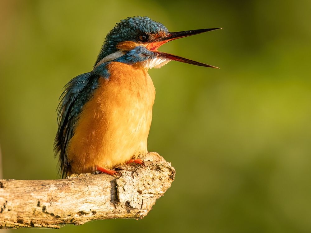 Photograph by Hubert Mielnik