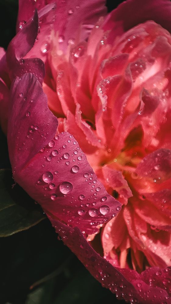 Photograph by Глушакова Татьяна Николаевна