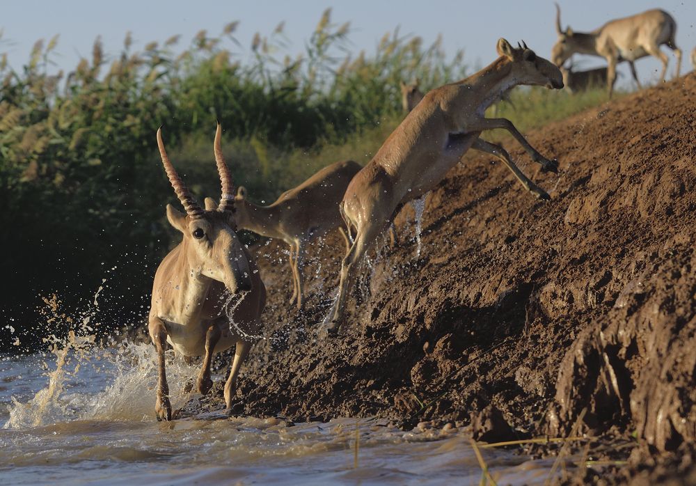 Фотография автора Аникеев Владимир