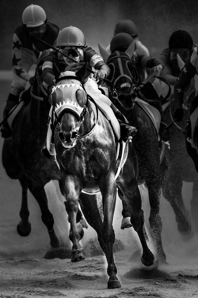 Photograph by mak takano