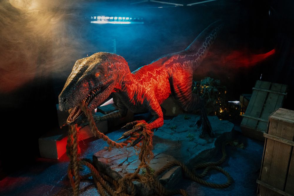 Photograph by Kseniya Trafimovich