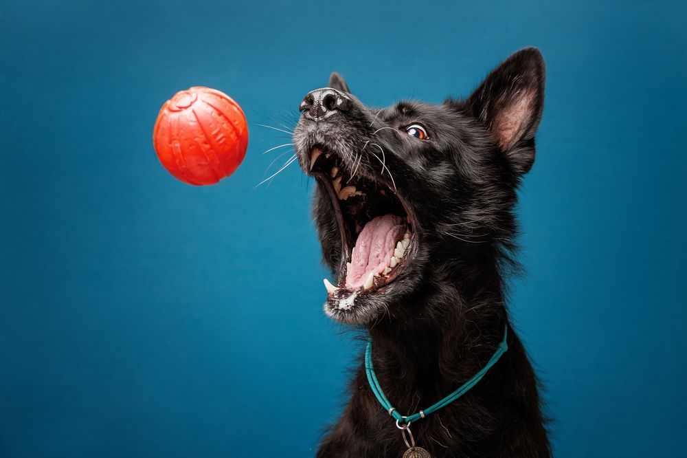 Photograph by Яна Нарбутович