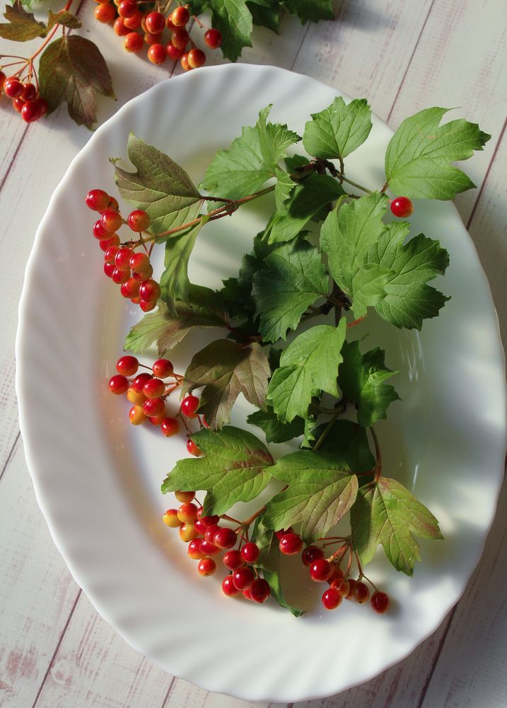 Photograph by Анна Зайченко