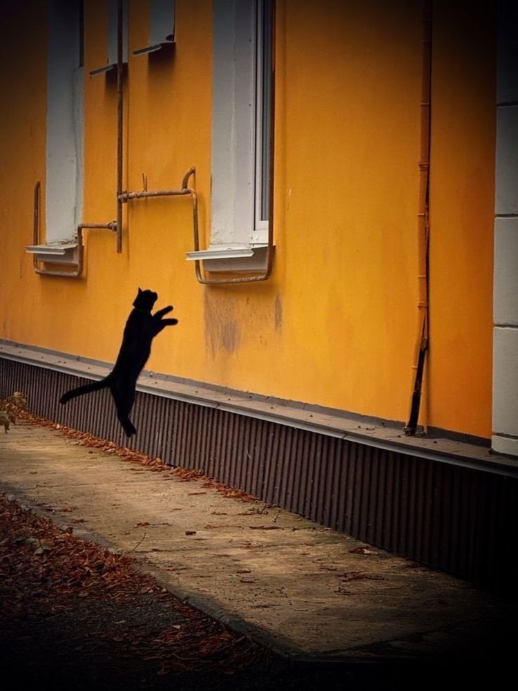 Photograph by Groznetskaya