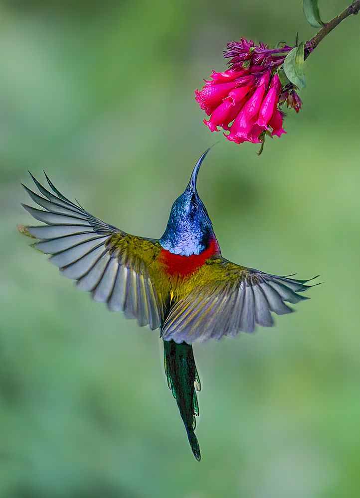 Photograph by Tapas Kundu