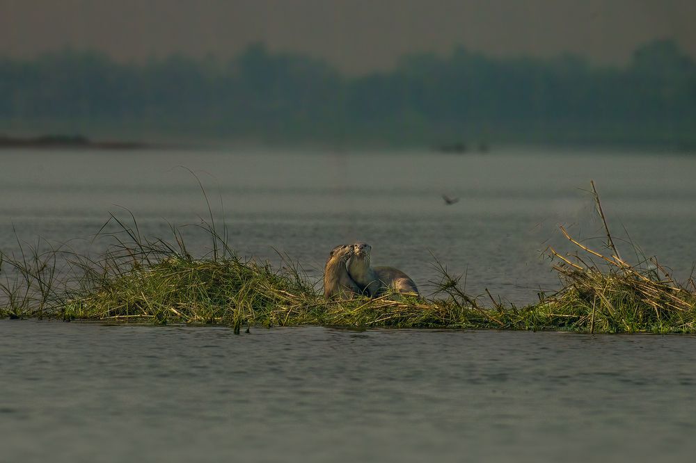 Photograph by Tapas Kundu