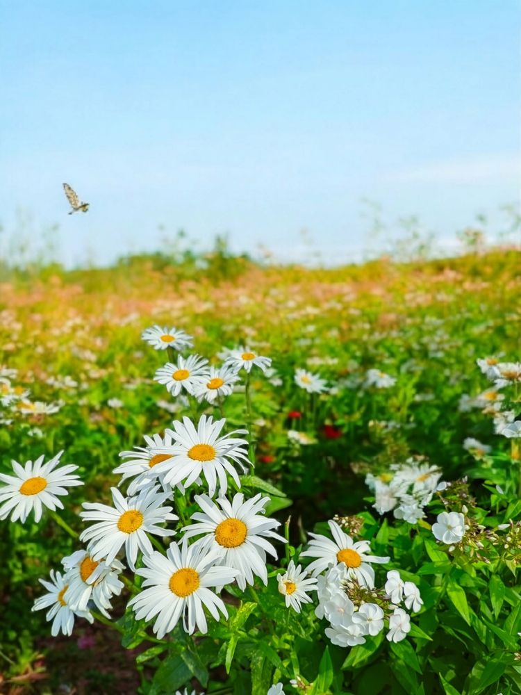 Photograph by Олега Тор