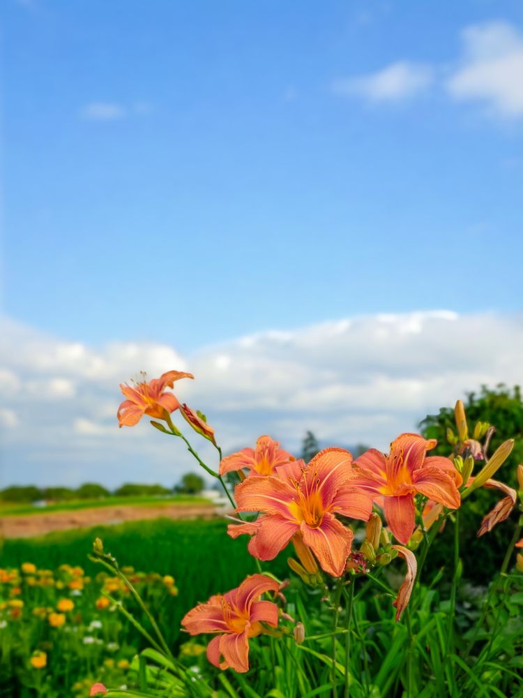 Photograph by Олега Тор