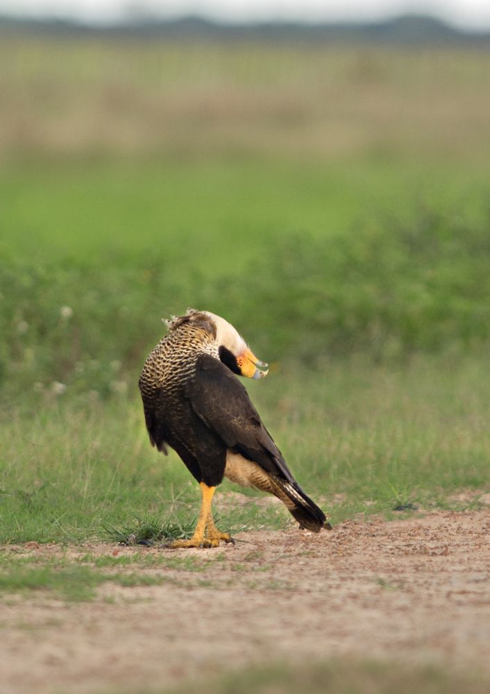 Фотография автора Дмитрий