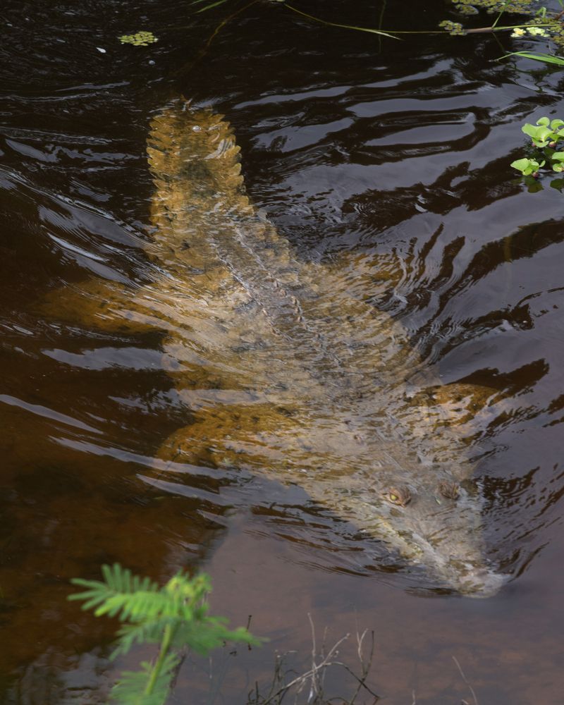 Фотография автора Дмитрий