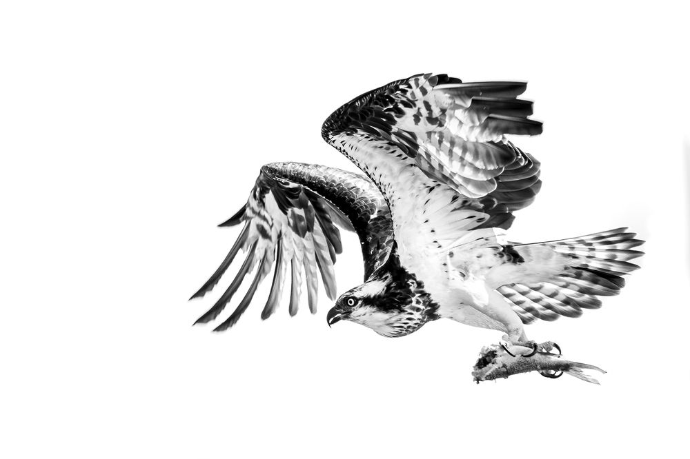 Photograph by Aritra Nath